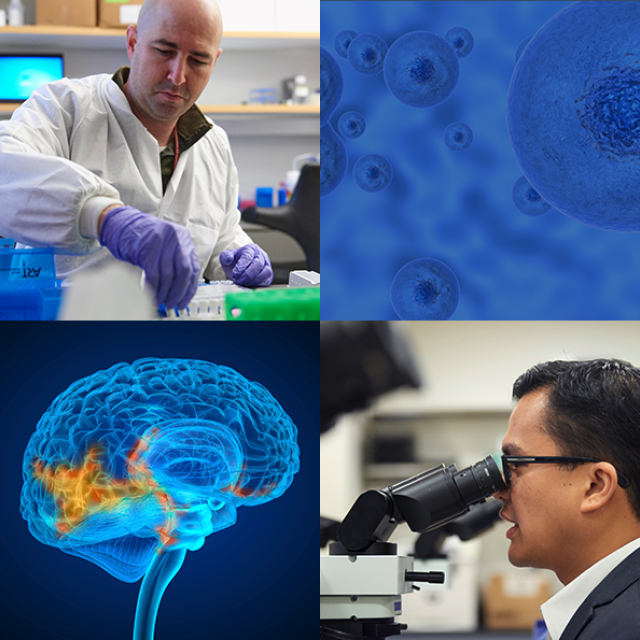 Two people and an image of the human brain